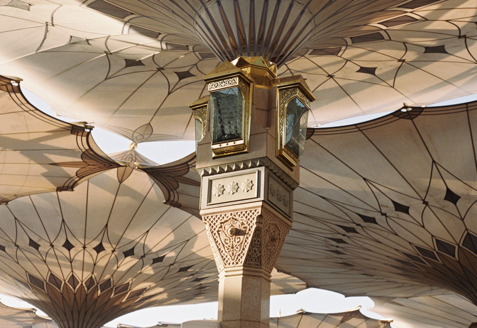 Shade of the Prophet